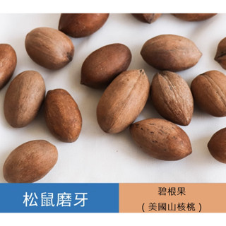 文玩堂：爆肉粗筋龍脊碧根果 碧根果- 優惠推薦- 2025年7月| 蝦皮購物台灣