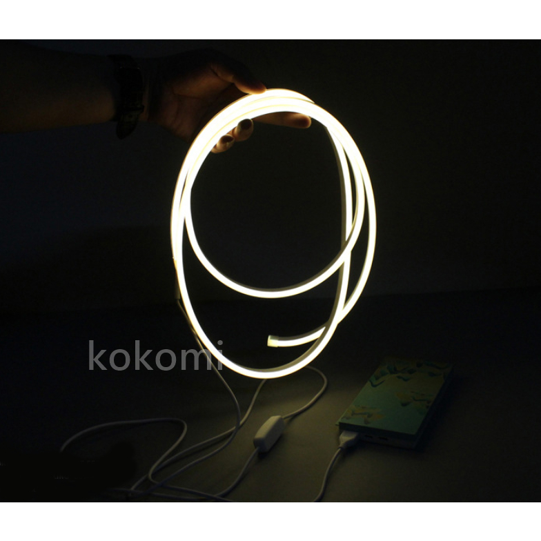 現貨 USB LED 5V 暖白光 柔光 燈條 車宿 露營 行動電源即可驅動 矽膠軟條 防水 2米 | 蝦皮購物