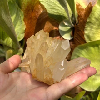 橘皮水晶- 優惠推薦- 2025年10月| 蝦皮購物台灣