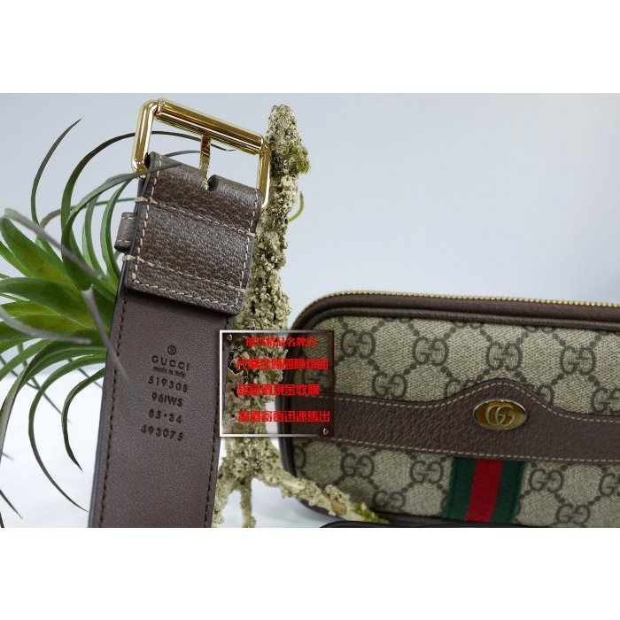 Gucci 519308 on sale