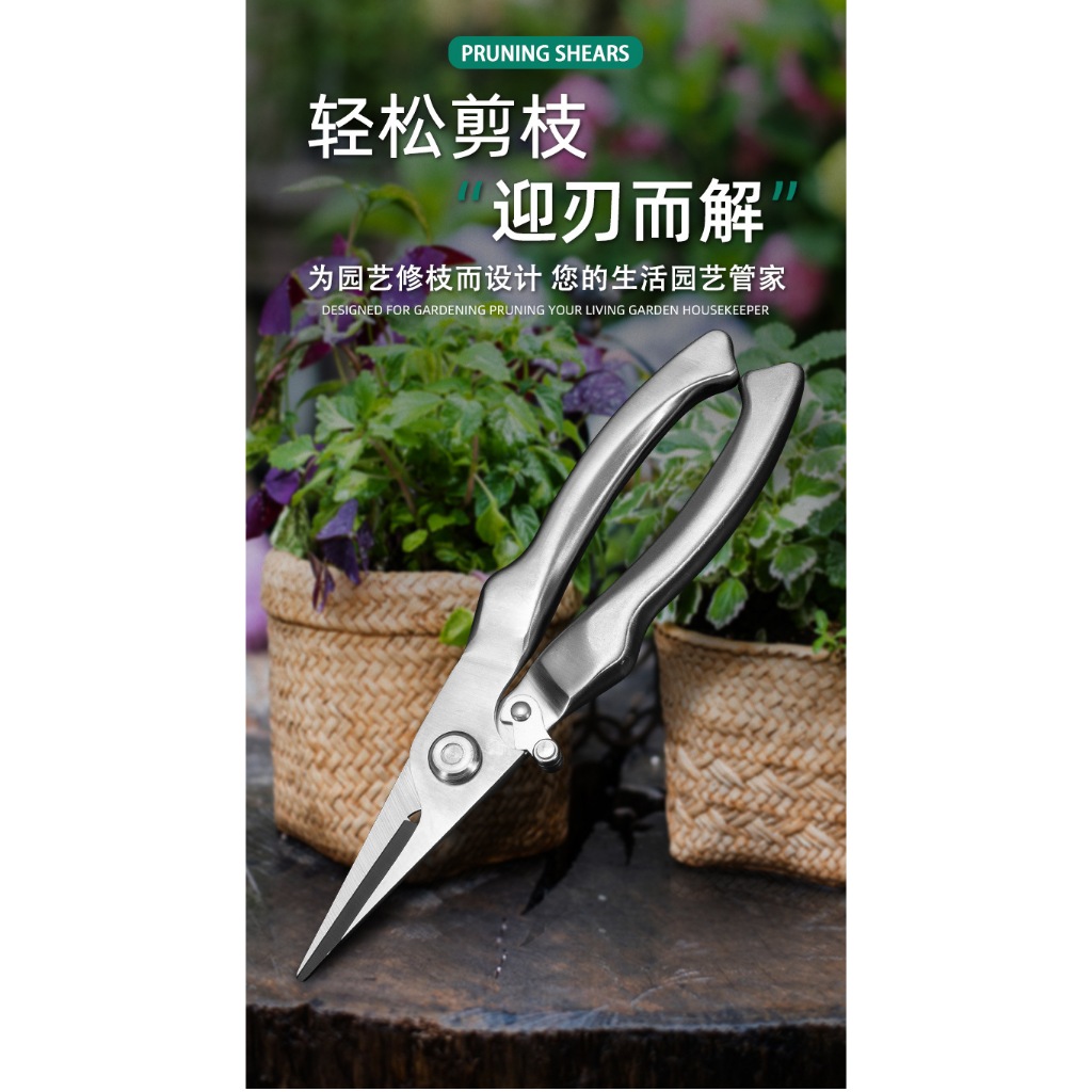 現貨 不鏽鋼 長嘴型 芽切剪 採果剪 鮮花剪 樹枝剪 萬用剪 修枝剪 芽切剪 剪錠夾 修剪枝葉 | 蝦皮購物