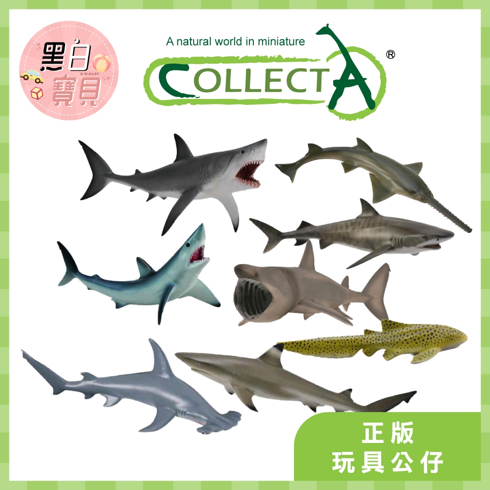 collectA動物模型大白鯊老虎鯊鎚頭鯊鋸鯊尖吻鯖鯊豹紋鯊烏翅真鯊姥鯊歐