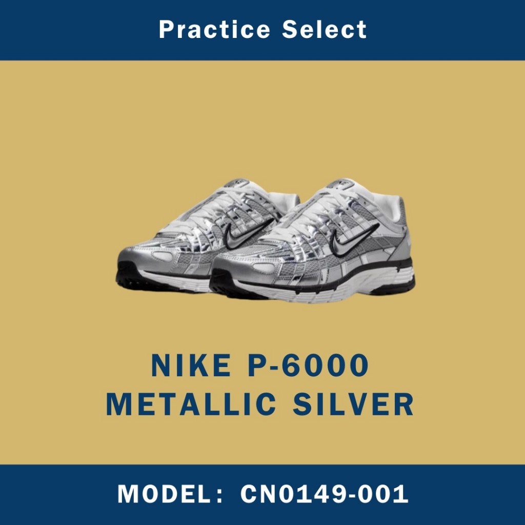 【NIKE】CN0149-001★P-6000★Metallic Silver 