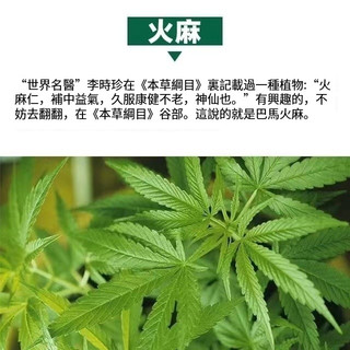 🔥🔥火麻仁種子 火麻子種子 中藥材火麻仁 四季播種 易種易活 普通種子 新竹 免運 收據發票 | 蝦皮購物