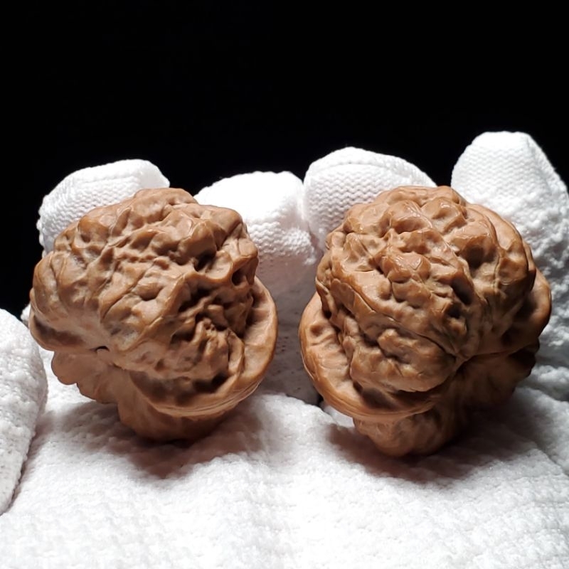 金蟾蛤蟆頭] 38mm－小眾麻核桃－現貨/文玩核桃/舒壓保健/收藏