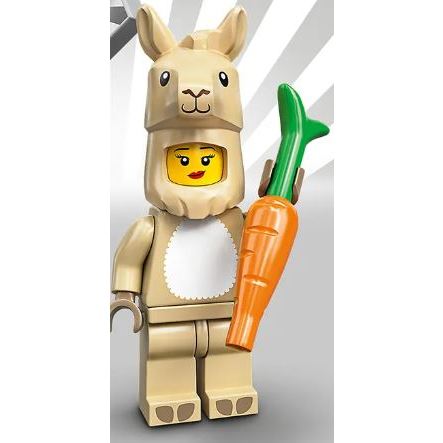 磚櫃全新樂高71027 Minifigures 第20 代人偶(單隻) - J | 蝦皮購物