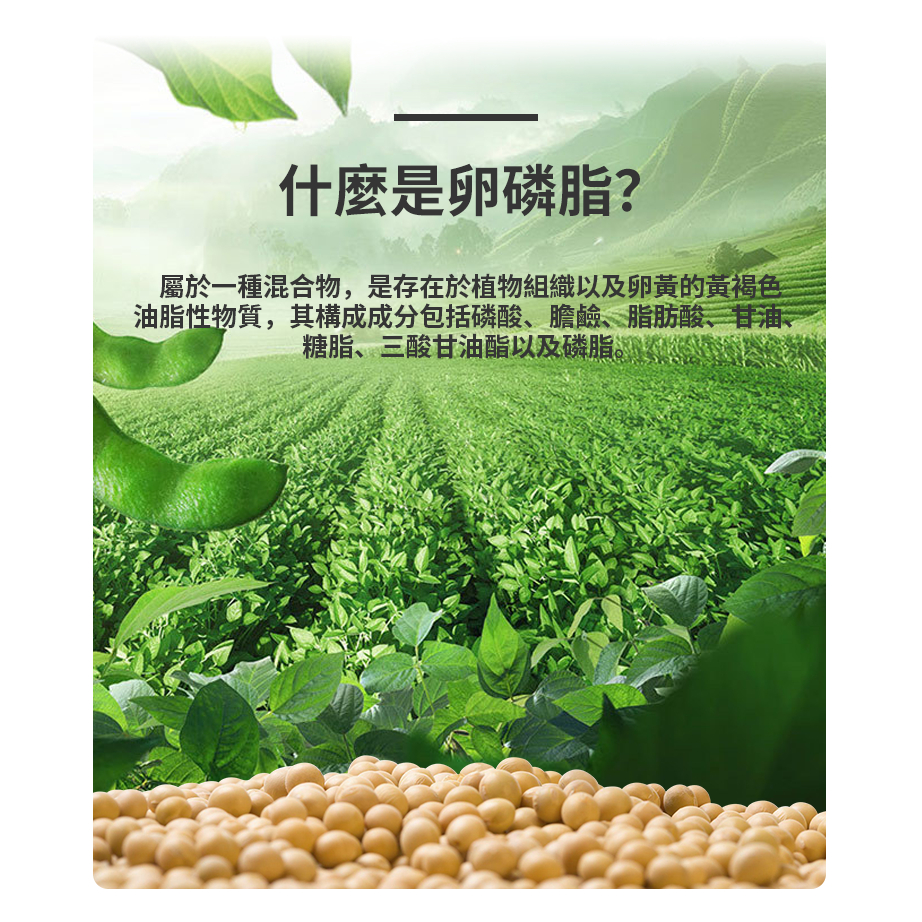 現貨不用等 3倍 超級 卵磷脂 濃縮 Soy Lecit…