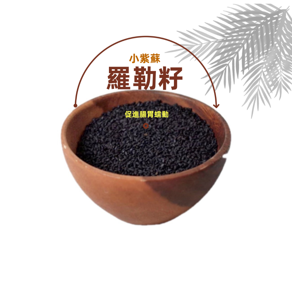 【羅勒籽小紫蘇】蒟蒻膳食纖維 飽足感 Omega3 低卡高纖 植物蛋白 抗氧化 豐富礦物質 | 蝦皮購物