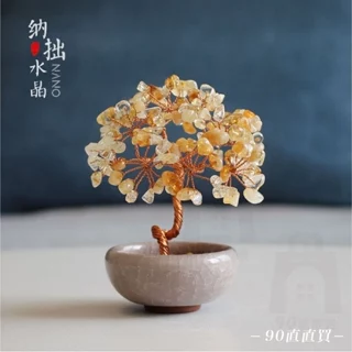 開運樹｜優惠推薦- 蝦皮購物- 2024年8月