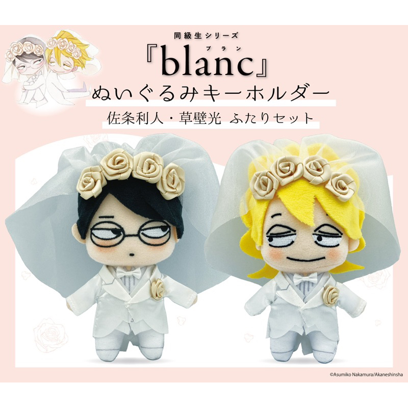 再販‼️1/19收單‼️預購同級生シリーズ『blanc』ぬいぐるみ