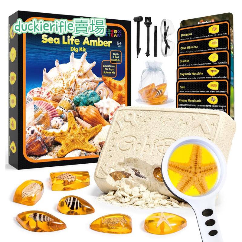 挖掘琥珀 海洋 Amber Dig kit 貝克 實驗 科學 STEM教學 動物 | 蝦皮購物