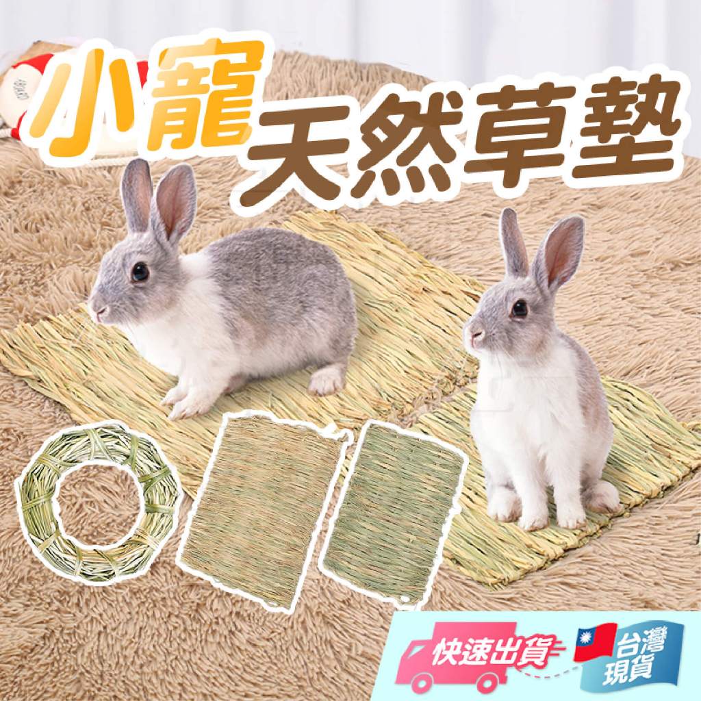 小寵編織草墊 啃咬磨牙草墊 牧草墊 編織草墊 稻草 編織草環 手工編織草墊 小寵草環 兔子草墊 小寵草墊【寵物福利社】 | 蝦皮購物