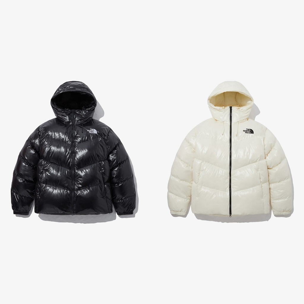 新品タグTHE NORTH FACEFREE MOVE 果たす DOWN JACKET 
