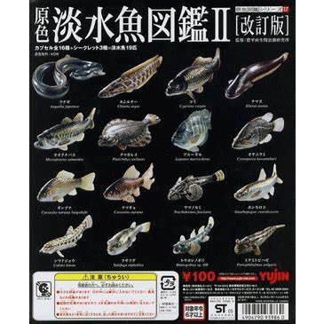 原色淡水魚圖鑑- 優惠推薦- 2025年4月| 蝦皮購物台灣