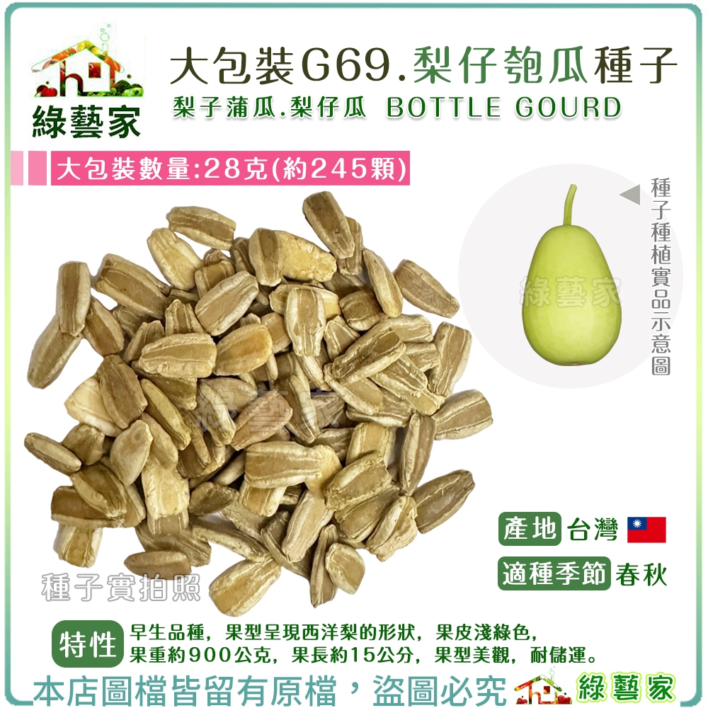 【綠藝家】大包裝G69.梨仔匏瓜種子28克(約245顆) (梨子蒲瓜.梨仔瓜) 早生品種，果型呈現西洋梨的形狀 種子 | 蝦皮購物