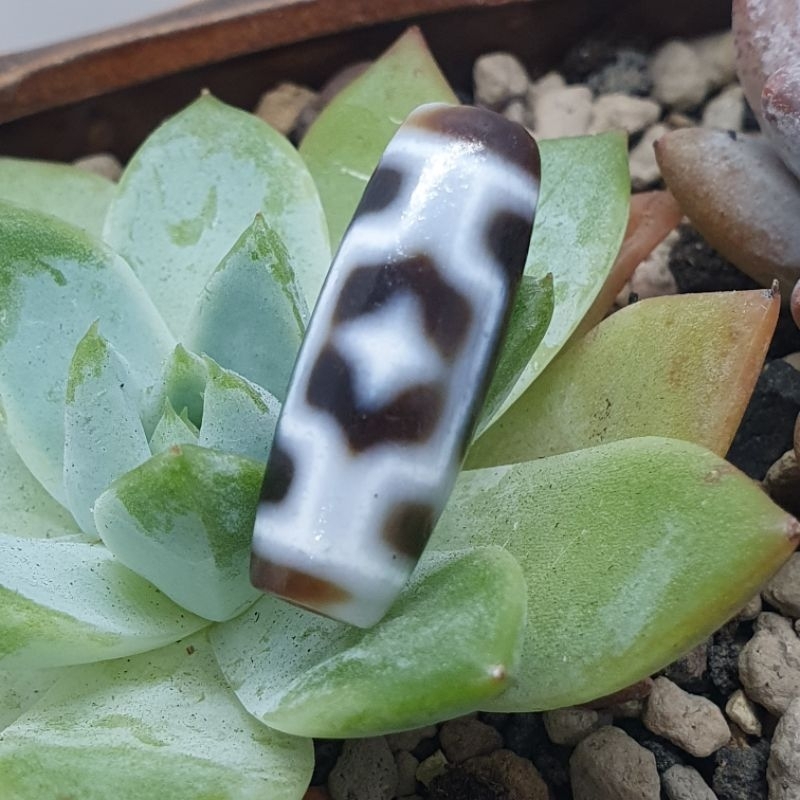 虎牙蓮花宝瓶天珠 DZ1126A水紋，蓮花。寶瓶，金鋼2眼菩提，如意，虎牙兩眼，天地，特殊3