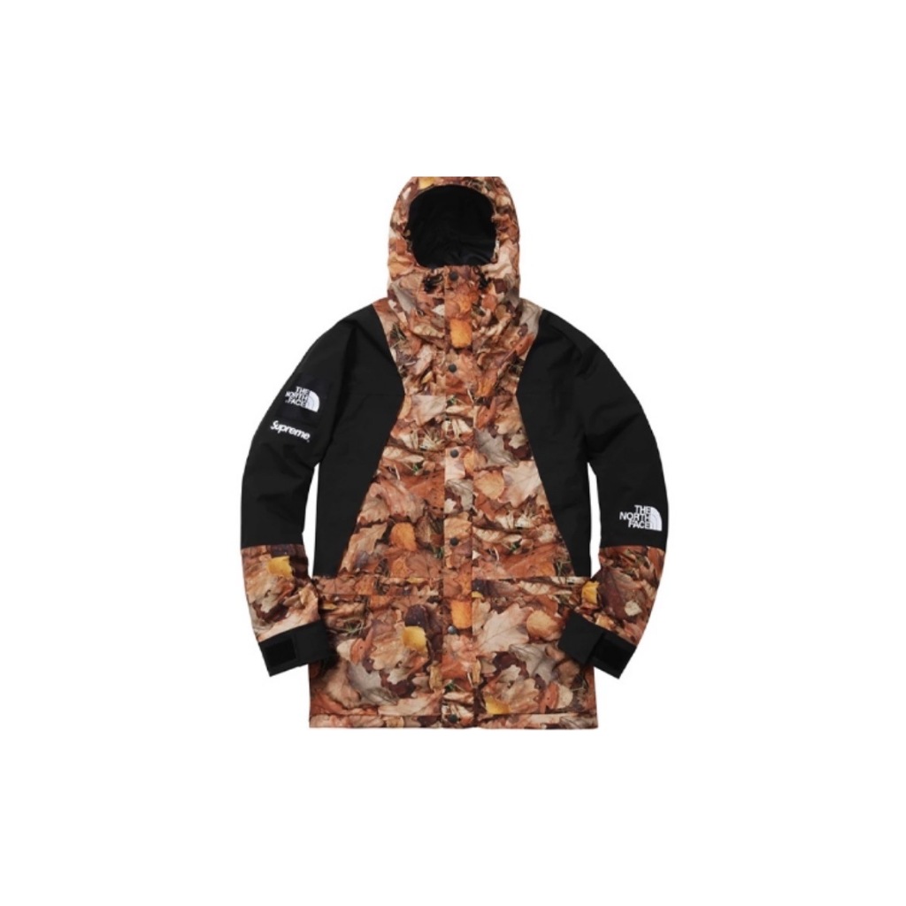 The north face on sale x supreme mountain jacket