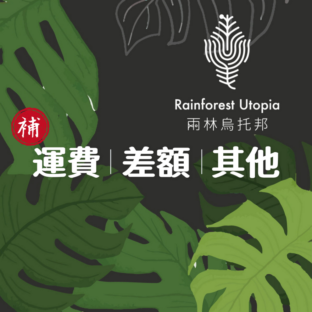 雨林烏托邦_ Rainforest Utopia, 線上商店 | 蝦皮購物