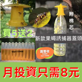 飛蠅的價格推薦- 2024年4月