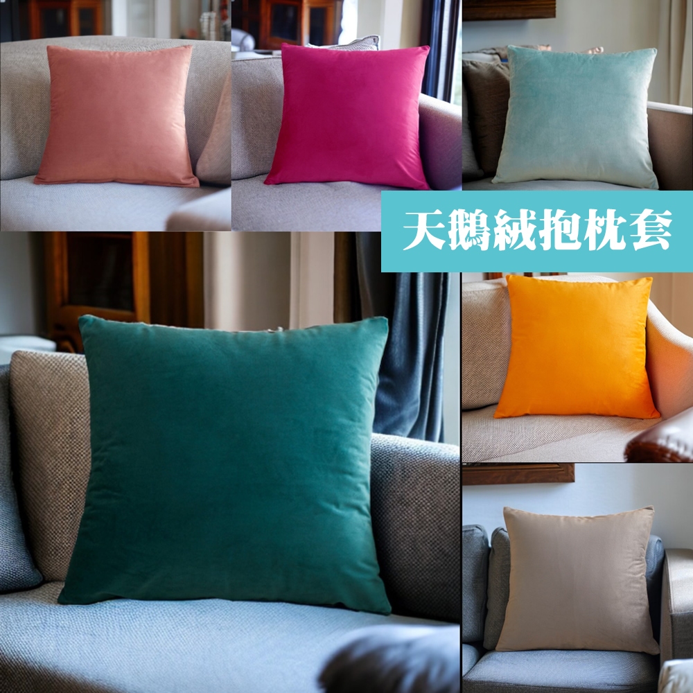 秋冬款 抱枕套 天鵝絨純色｜45x45 沙發抱枕套 沙發抱枕 客廳抱枕 素色抱枕套 抱枕套 抱枕 靠枕 靠枕套 | 蝦皮購物