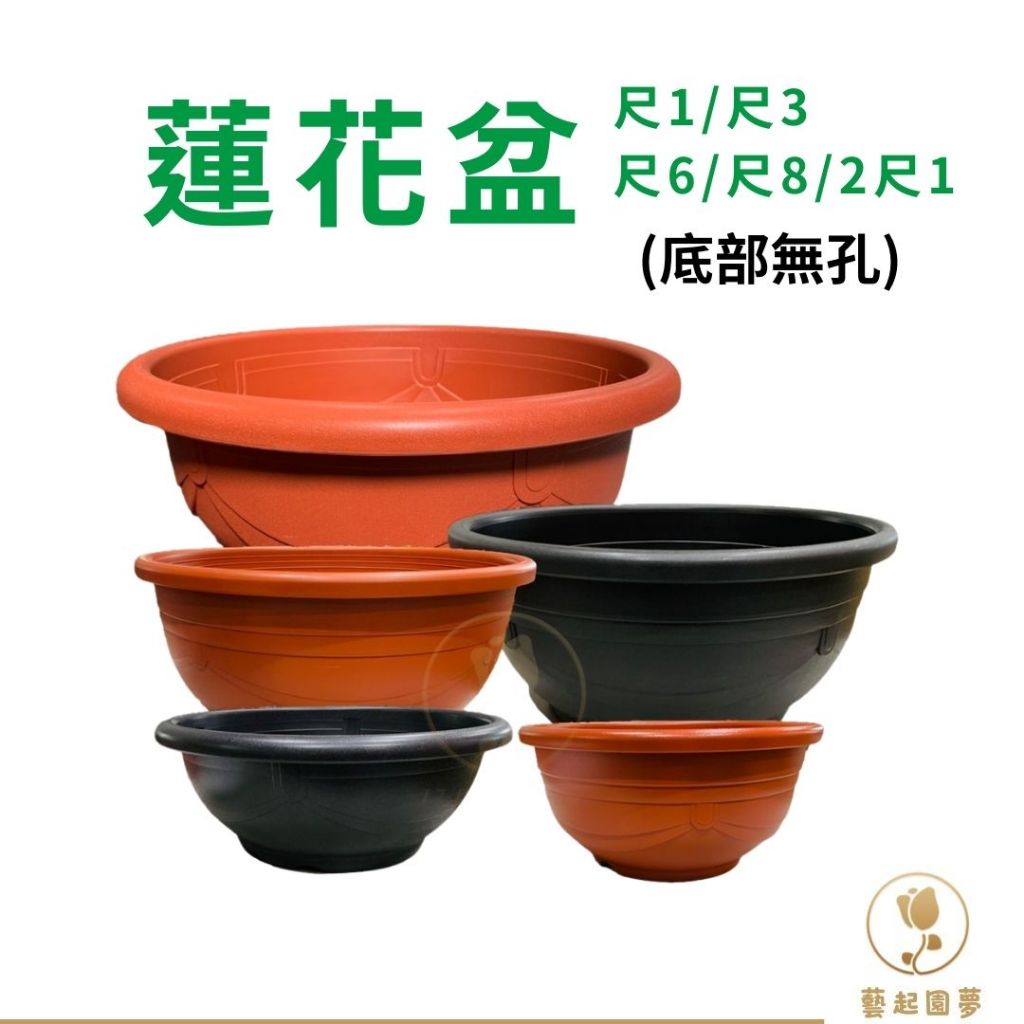 藝起園夢】蓮花盆1尺1/1尺3/1尺6/1尺8/2尺1 限宅配無孔塑膠盆荷花盆無