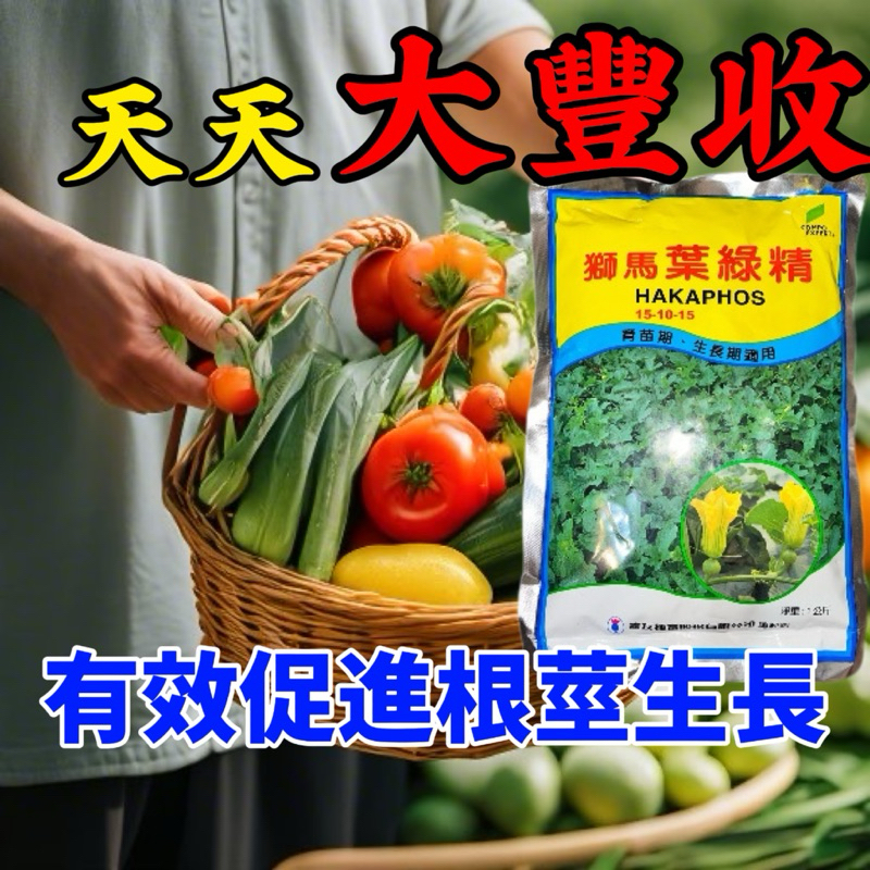 葉綠精獅馬葉綠精促進植物根莖生長提供植物生長所需養分速效肥| 蝦皮購物