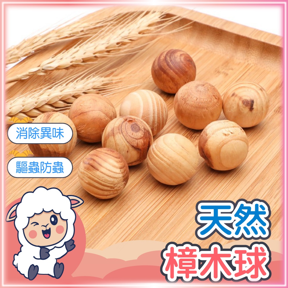 【現貨-免運費🔥除霉防蟲】樟木球 樟木 樟木塊 香樟木 樟木條 香樟木球 樟腦球 防霉 防蟲 除味 驅蟲 樟腦球 懶洋洋 | 蝦皮購物