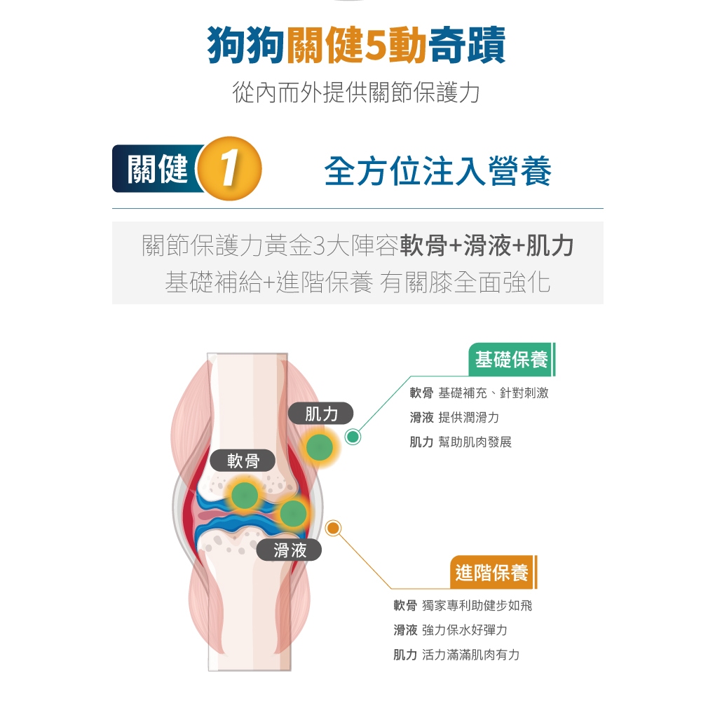 Product image 【木入森】犬寶有關膝 (60顆)｜狗狗關節保健食品｜胜肽膠原蛋白 玫瑰果萃取｜給予狗關節保護力 5