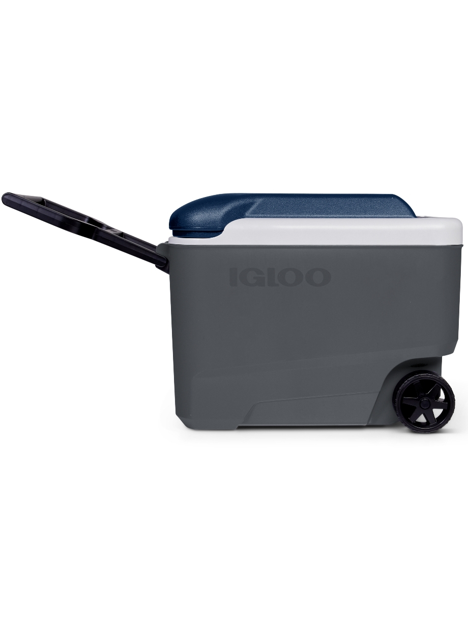 Igloo 40qt orders 新 款