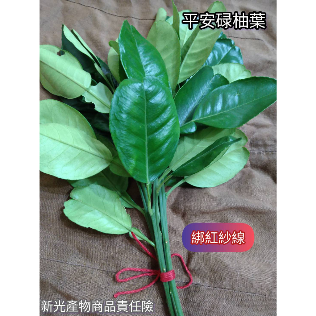 【柚樂木】平安葉 柚子葉 祿柚葉 扁柏 黃皮 芙蓉 入厝 祈福 喬遷 淨身 掃墓 除歲 避邪 收驚 除穢 | 蝦皮購物