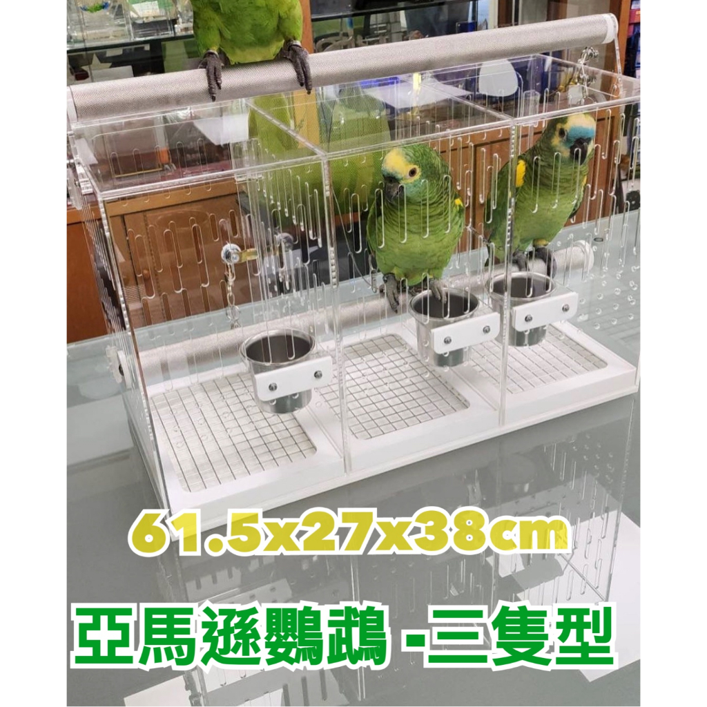 鳥頭∈(・ө・)∋出品 雞尾鸚鵡- 2008-12-21 11h34m55s SN200536 | 雞尾鸚鵡/ 小葵花
