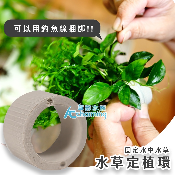 【AC草影】水草定植環【一個】莫斯定植球 DIY動手做 造景裝飾 定植環 盆草種植 水草盆 種水草 綁水草 | 蝦皮購物