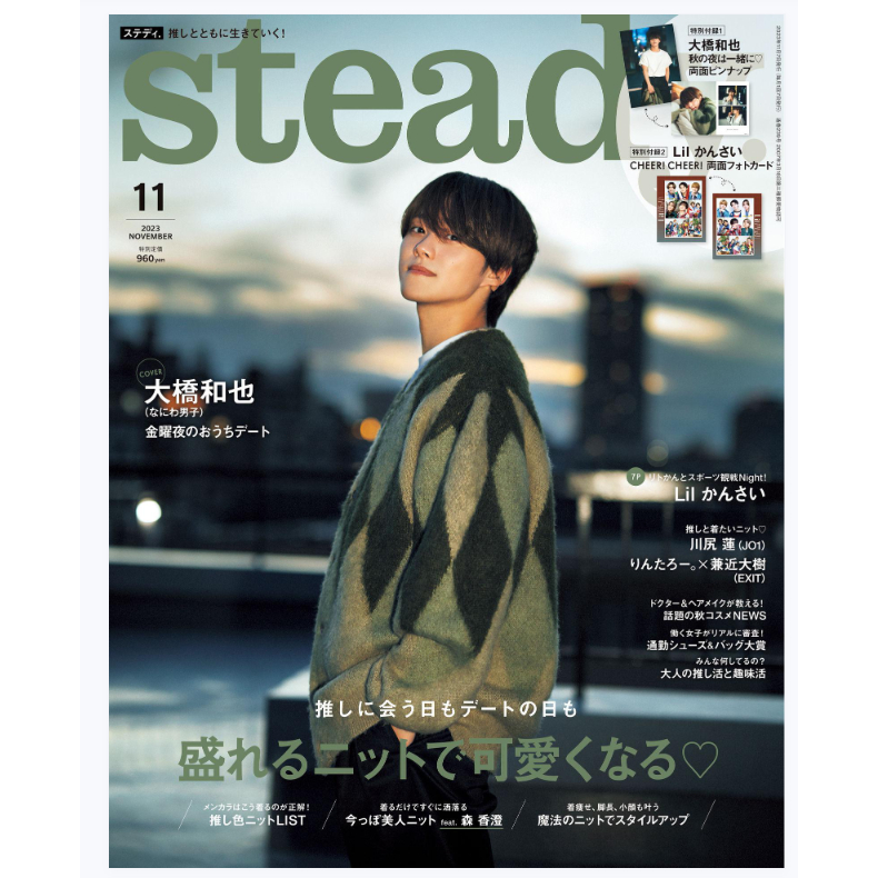 steady 2017 1月 アブワイザーリッシュ ショルダーバッグ