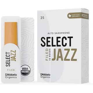 【現代樂器】美國 D'Addario Select Jazz Alto 中音薩克斯風 2S 竹片 10片裝 (新包裝)