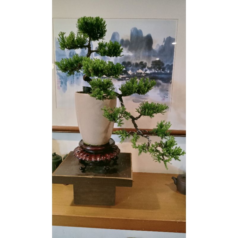269G-絕美超扭轉懸崖型「台灣真柏」精品盆栽| 蝦皮購物 269G-絕美超扭轉懸崖型「台灣真柏」精品盆栽| 蝦皮購物