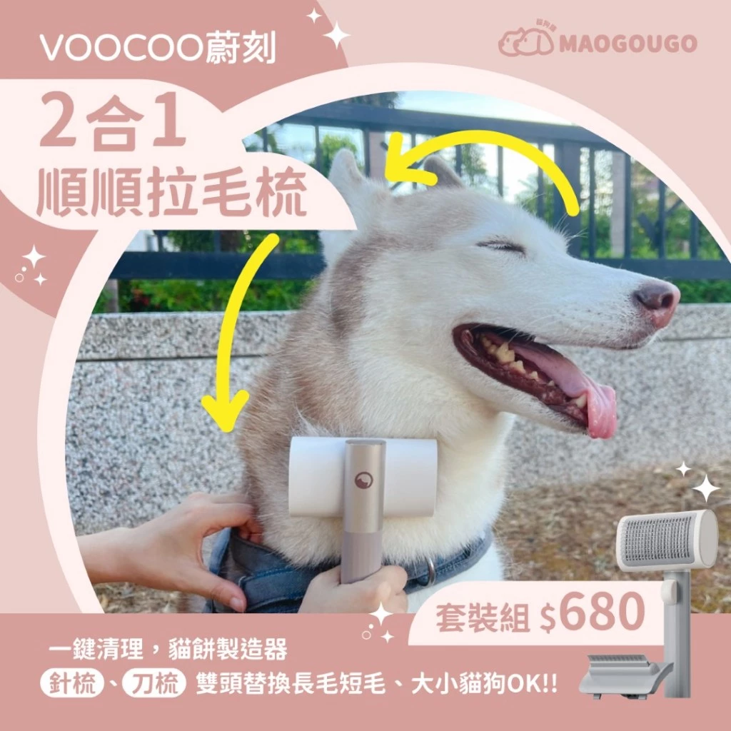 【最新】6款狗刷毛梳推薦!輕鬆梳出健康亮毛 【最新】6款狗刷毛梳推薦!輕鬆梳出健康亮毛