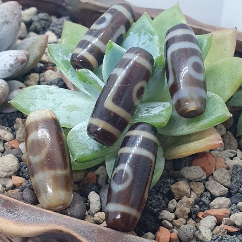 Zi1225西藏老天珠天地。折線2眼。水紋三眼。熊貓三眼。虎牙。 | 蝦皮購物
