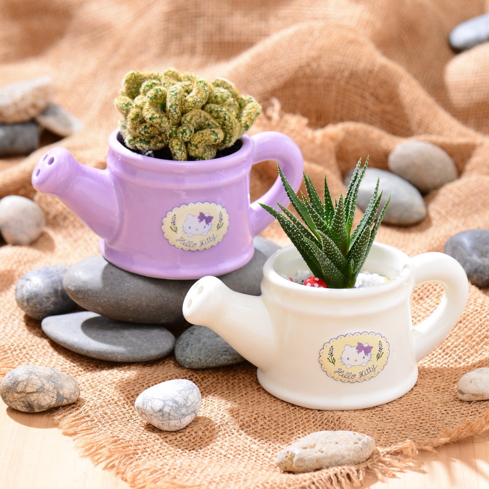 Sanrio三麗鷗】Hello Kitty 陶瓷花器-5款| 蝦皮購物