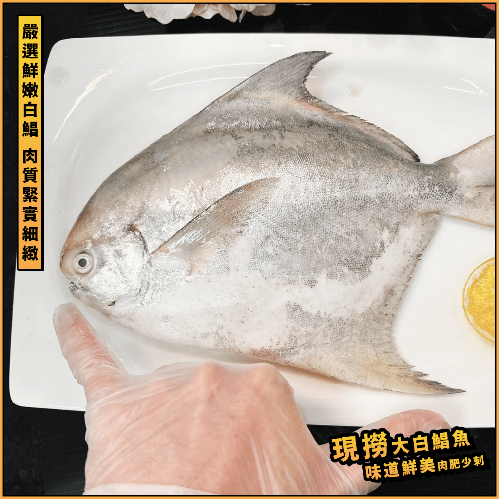 【鮮煮義美食街】現撈5/6 6/7 11/12大鯧魚／正野生白鯧／白昌／正白鯧 ／年菜首選／年節推薦／鮮嫩肉肥／開運年菜 | 蝦皮購物