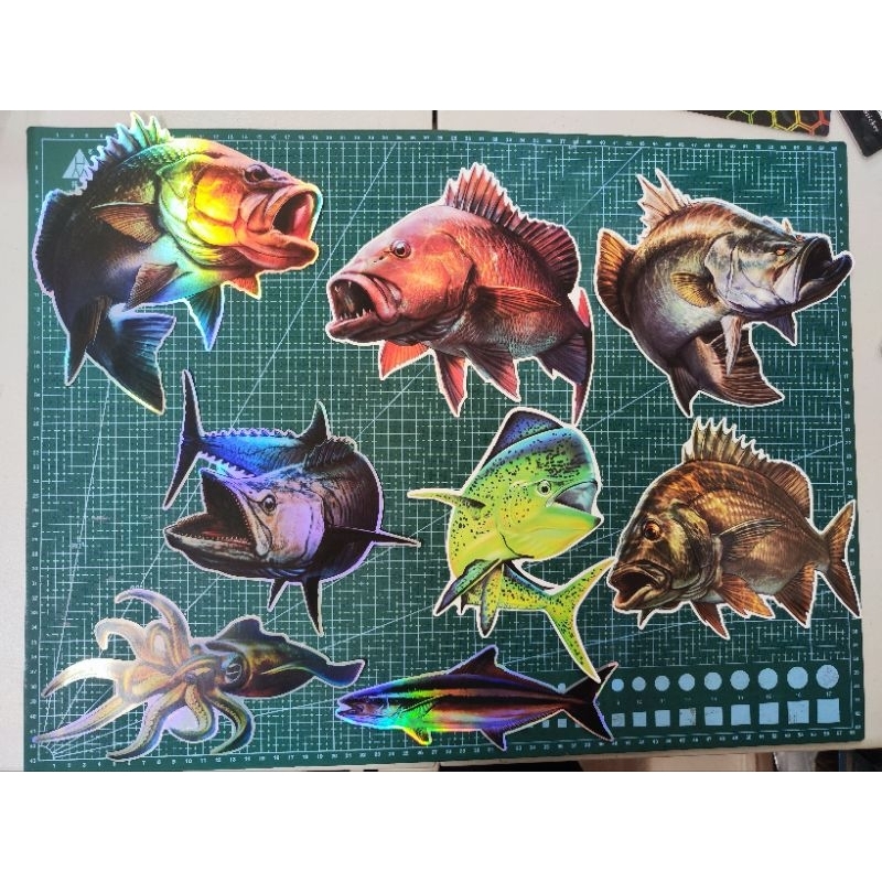 3D貼紙，各式魚類貼紙，釣魚貼紙，冰箱貼紙，黑鯛，紅槽，土魠，鬼頭刀，軟絲，海鱺，嘉納/真鯛，紅條/東星班 | 蝦皮購物