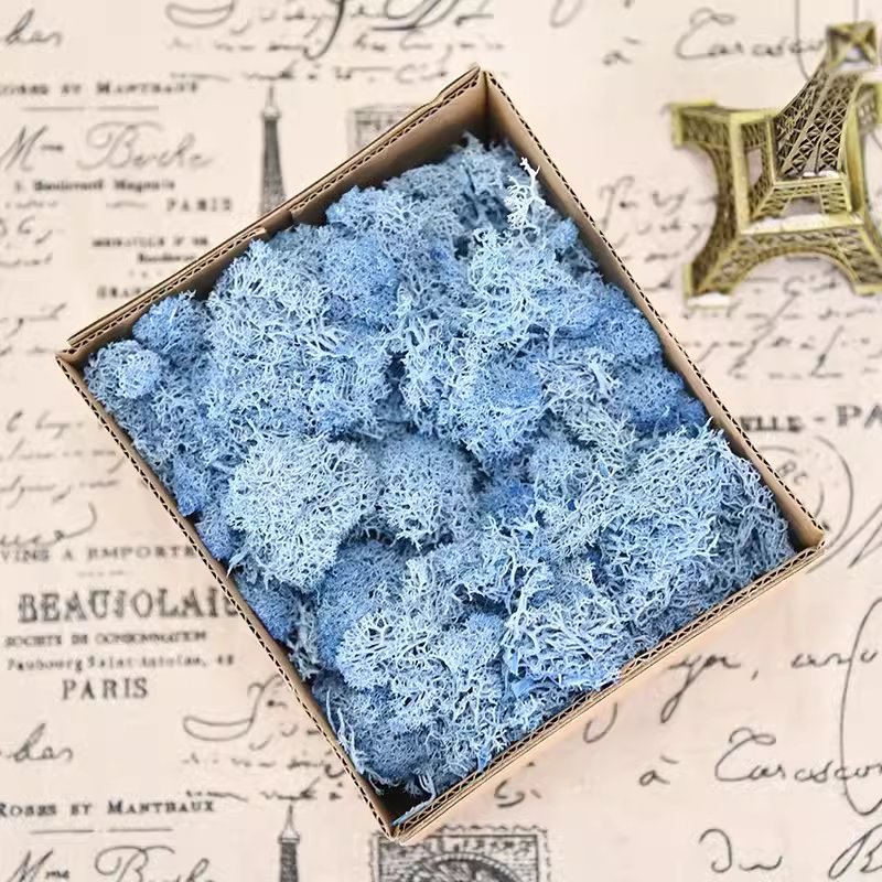 【戀花宅】台灣現貨 進口永生苔癬 moss馴鹿草 不凋花 永生花 玻璃罩DIY材料 玻璃罩花材 | 蝦皮購物