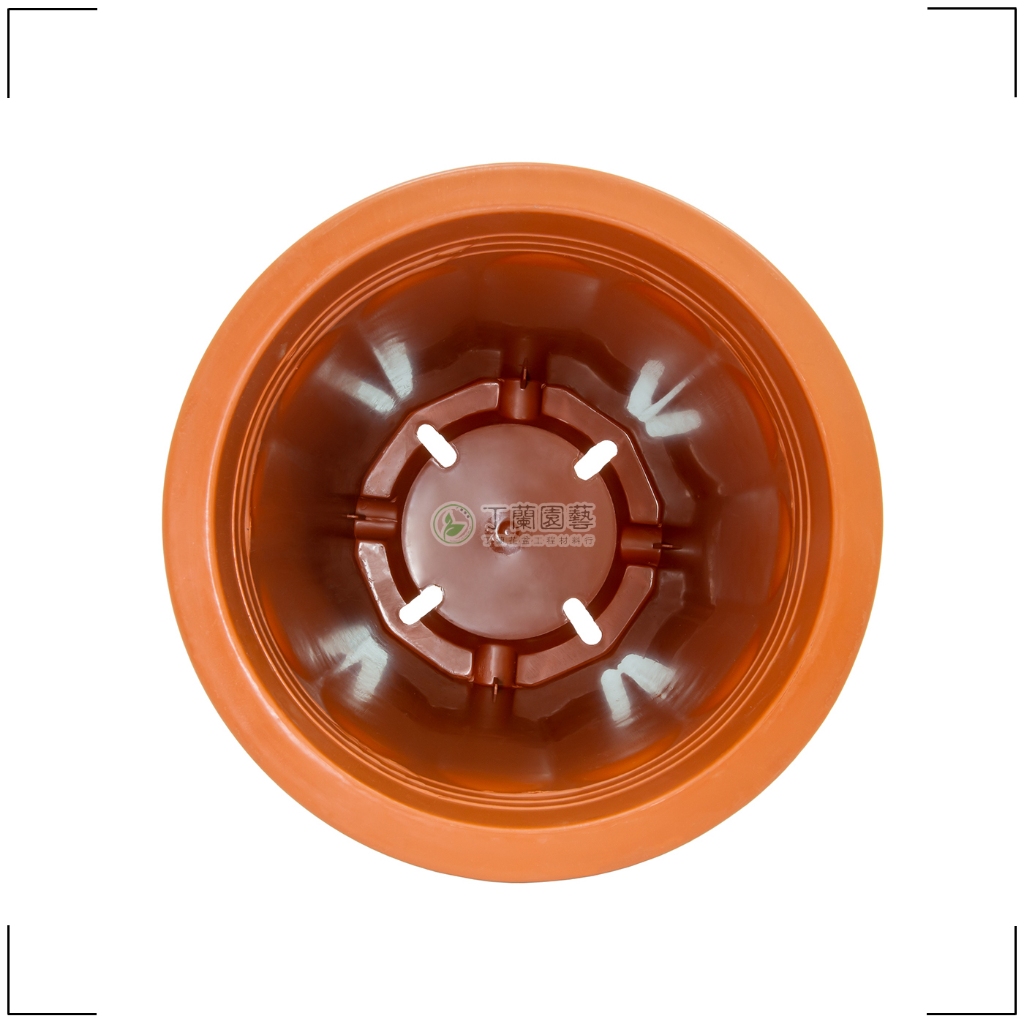 大白桶【7寸、8寸、9寸、1尺、1尺2】| 角桶盆白角桶栽培盆塑膠盆高盆