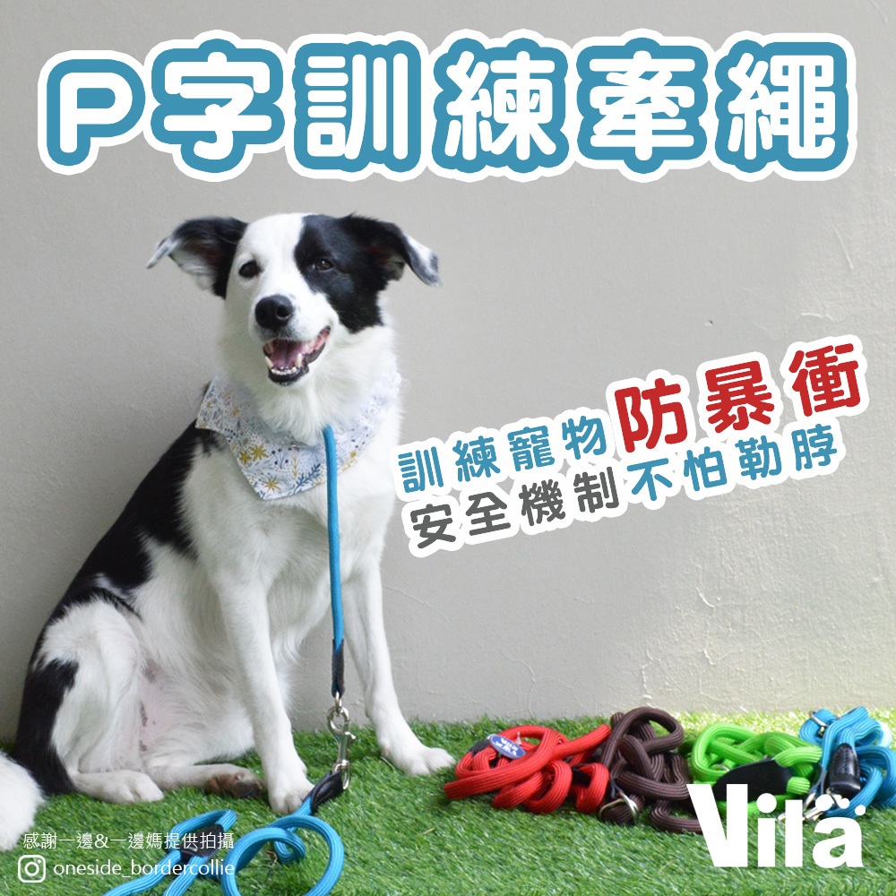 【VILA】訓練必備 兩件式 P字項圈+牽繩 套著走牽繩 P字項圈 10mm圓繩 P字項圈 順練牽繩 12 | 蝦皮購物