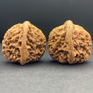 南疆- 優惠推薦- 2026年2月| 蝦皮購物台灣