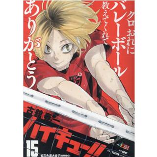 2枚　『ハイキュー‼︎』クリアファイル　春高本戦　宮城県予選　セット ハイキュー春高トーナメント表 ハイキュー クリアファイル 烏野