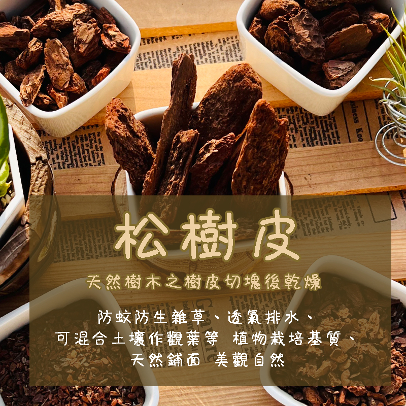 【松樹皮】1-5號 500g 蘭花/空氣鳳梨/鹿角厥/觀葉植物/鋪面/防蟲/介質 | 蝦皮購物