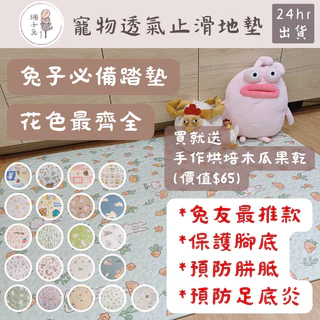 糰子- 優惠推薦- 2025年4月| 蝦皮購物台灣
