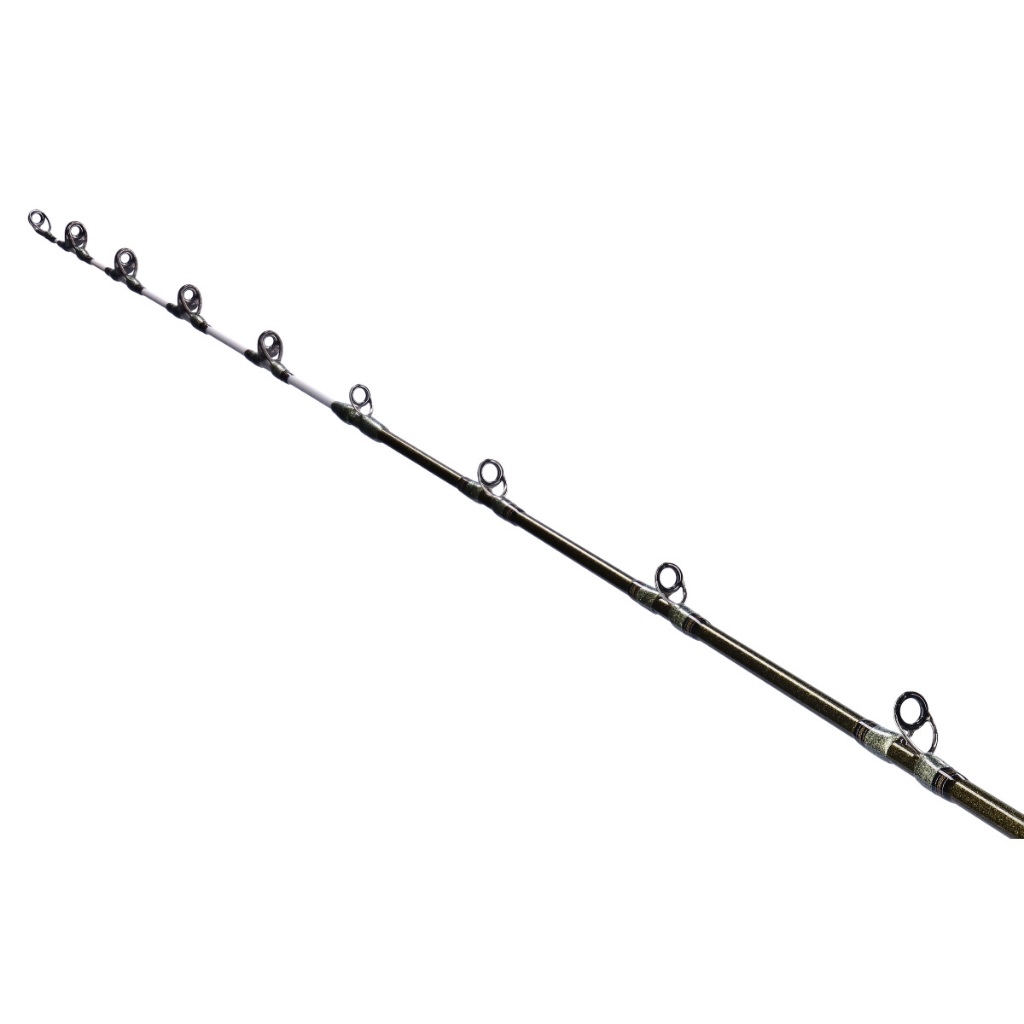 DAIWA LEADING NERAI 船釣竿/ 船竿H-200 / HH-200 | 蝦皮購物