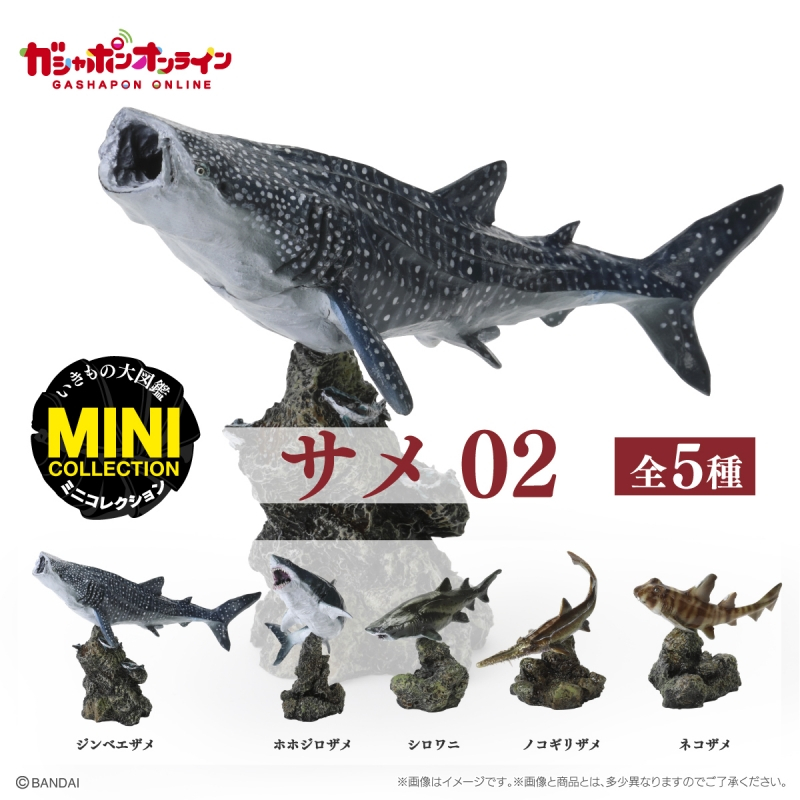 預購』9月生物大圖鑑-鯊魚篇P2 BANDAI 扭蛋轉蛋【蛋樂寶】 | 蝦皮購物