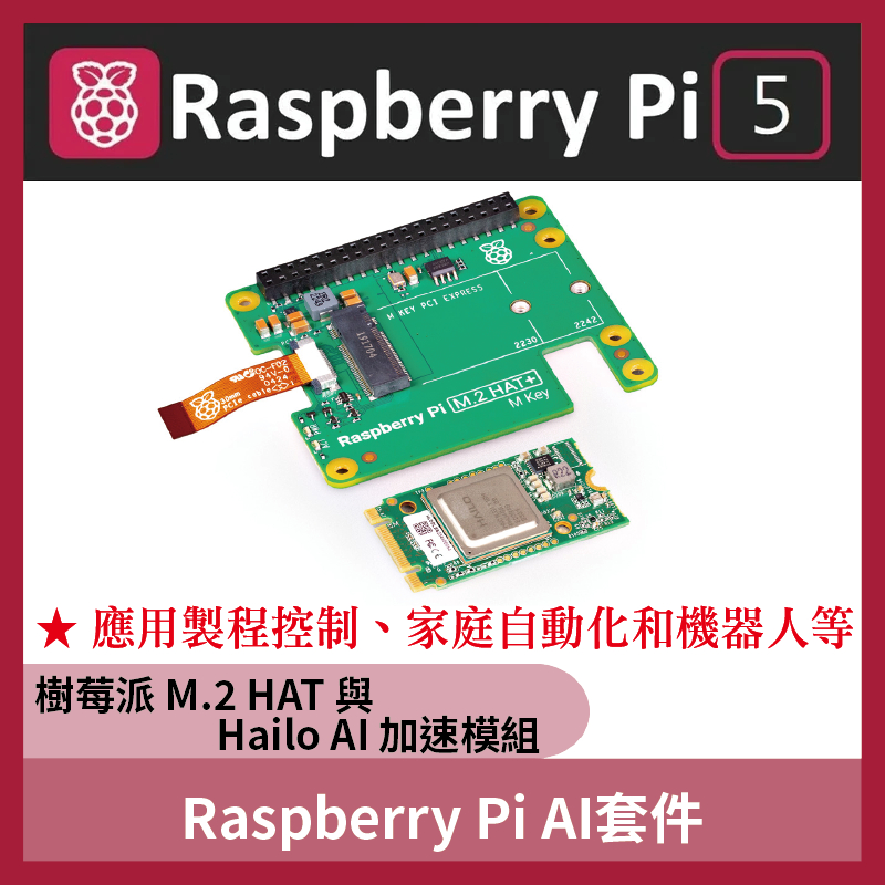 Raspberry Pi AI Kit 人工智慧套件 (Hailo-8L+M.2HAT+) | PCIe 擴充套件 | 蝦皮購物
